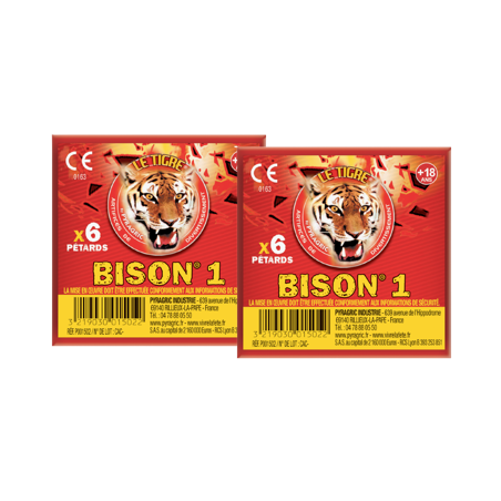 Paquet de 6 Pétard à mèche Bison 1 - Artifice
