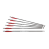 Umarex-FLECHES POUR UMAREX AIRSABER AVEC FIELD TIP - PACK DE 6