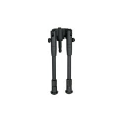 BIPIED AW308 "ASG"