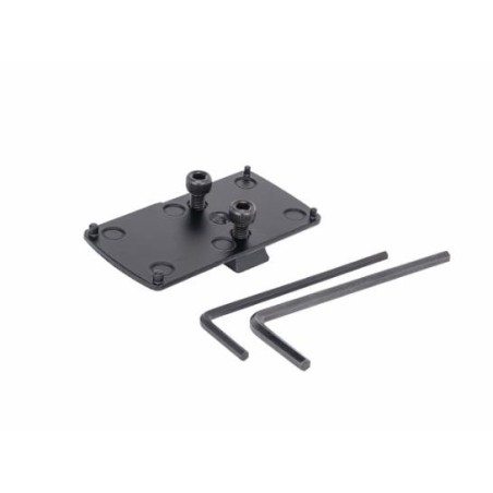 ASG - MONTAGE RMR CZ P10