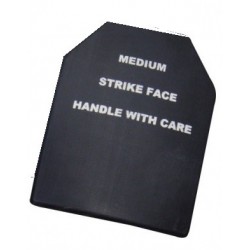 PLAQUE SAPI X1