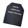 PLAQUE SAPI X1