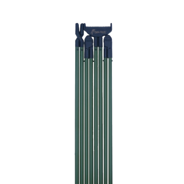 CANNE BUSH ESSENTIAL VERTE...