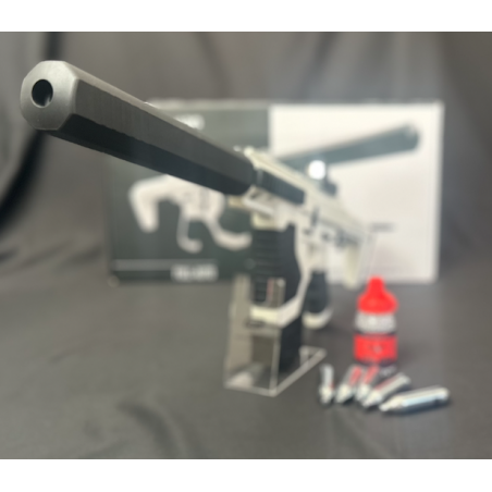 PACK CARABINE ST-1 FULL AUTO + Munitions + CO2 - Billes acier 4.5MM