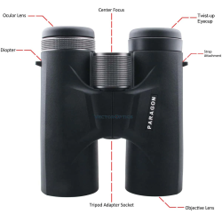 COLOMBISPORTS - JUMELLES PARAGON 10X42