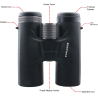 COLOMBISPORTS - JUMELLES CONTINENTAL 10X42 ED
