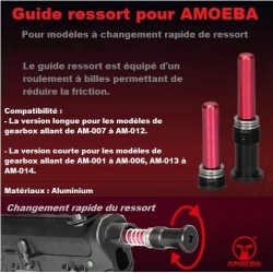 GUIDE RESSORT ARES AMOEBA COURT