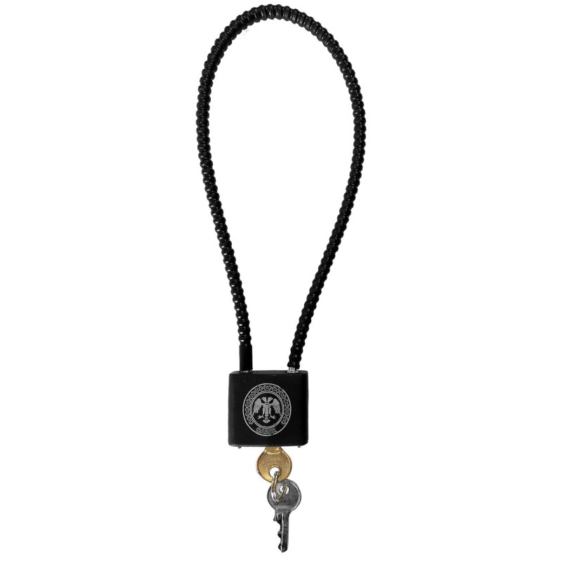 CABLE DE SECURITE A CLEF POUR ARMES