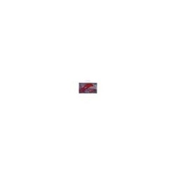 RAIL OPTIQUE ALU RED