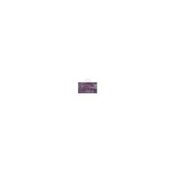 RAIL OPTIQUE ALU LIGHT BRONZE