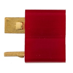 FICHE T-DEANS FEMELLE DOUBLE EAGLE