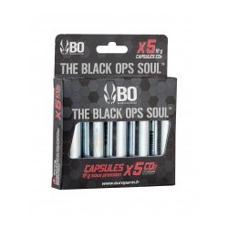 PACK GBB P365 SIG SAUER + MALLETTE + CO2