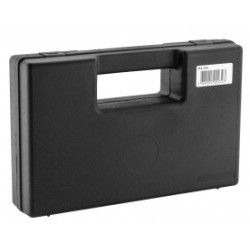 PACK GBB P365 SIG SAUER + MALLETTE + CO2