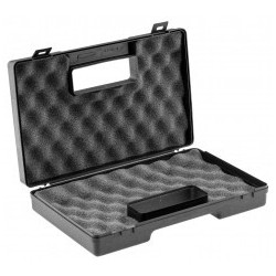 PACK GBB P365 SIG SAUER + MALLETTE + CO2