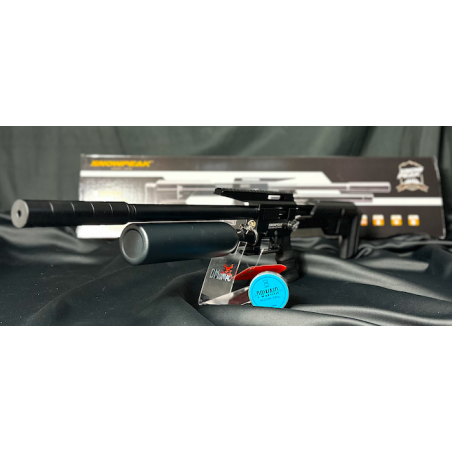 PACK PRÊT A TIRER CARABINE M60B C5.5 19.9J