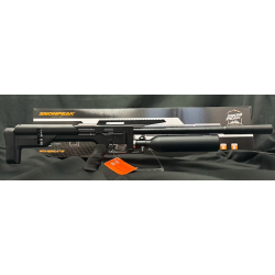 PACK PRÊT A TIRER CARABINE M60B C5.5 19.9J