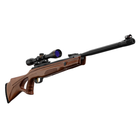 Carabine à air comprimé Beeman modèle 10620 4.5mm 19.9J
