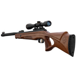 Carabine à air comprimé Beeman modèle 10620 4.5mm 19.9J