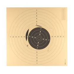 100 cartons-cibles C50 55 x 53 cm avec encoches