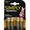 Piles alcalines AA LR6 1,5 volt - Duracell