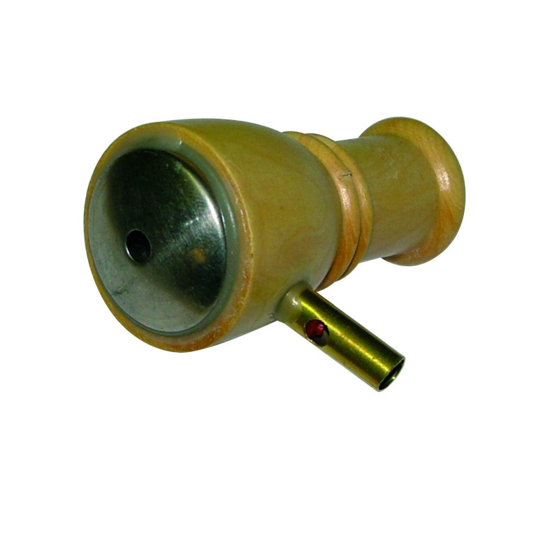 APPEAU GRIVE MUSICIENNE NM (CHANT+APPEL)