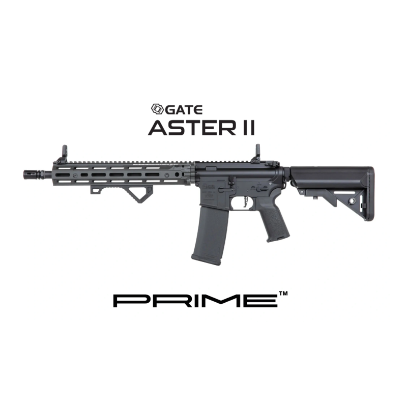REPLIQUE LONGUE 6MM SA-P28 PRIME ASTER II DD RIS III 12.5 BRUSHLESS GRIS