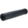SILENCIEUX AR308